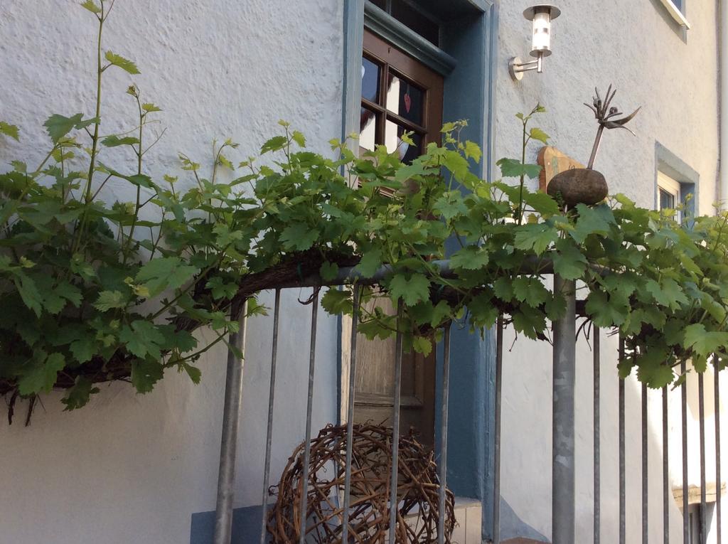Winzerhaeuschen, Weingut Th. Mueller Apartamento Reil Exterior foto